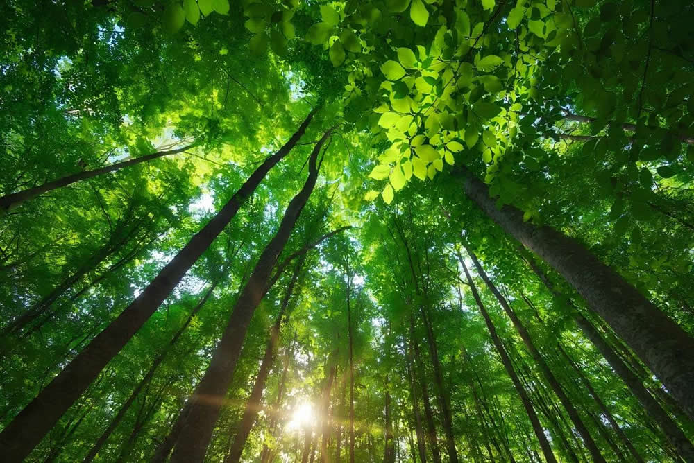 Environmental protection