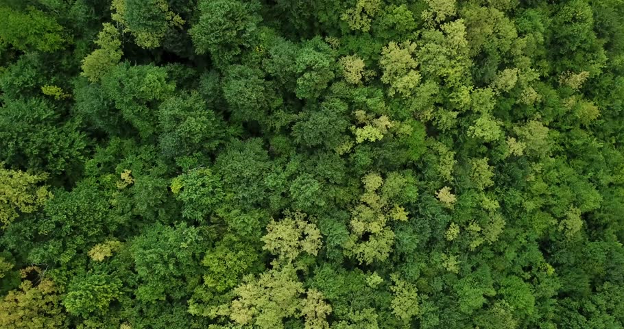 Environmental protection